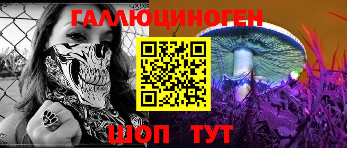 Галлюциногенные грибы Psilocybe Салават