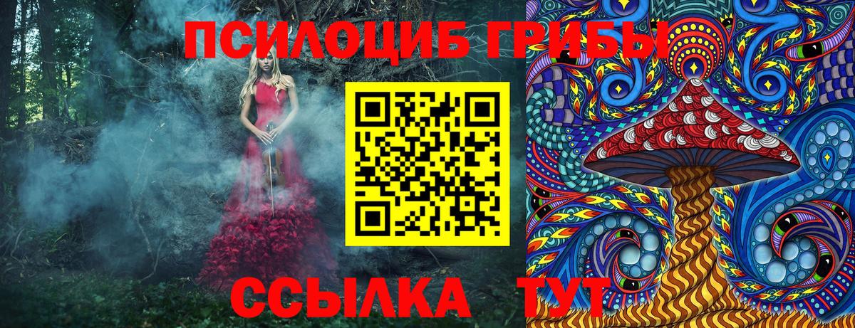 наркошоп  Псилоцибиновые грибы Cubensis  Вход с VPN  Галлюциногенные грибы Psilocybe  Салават 